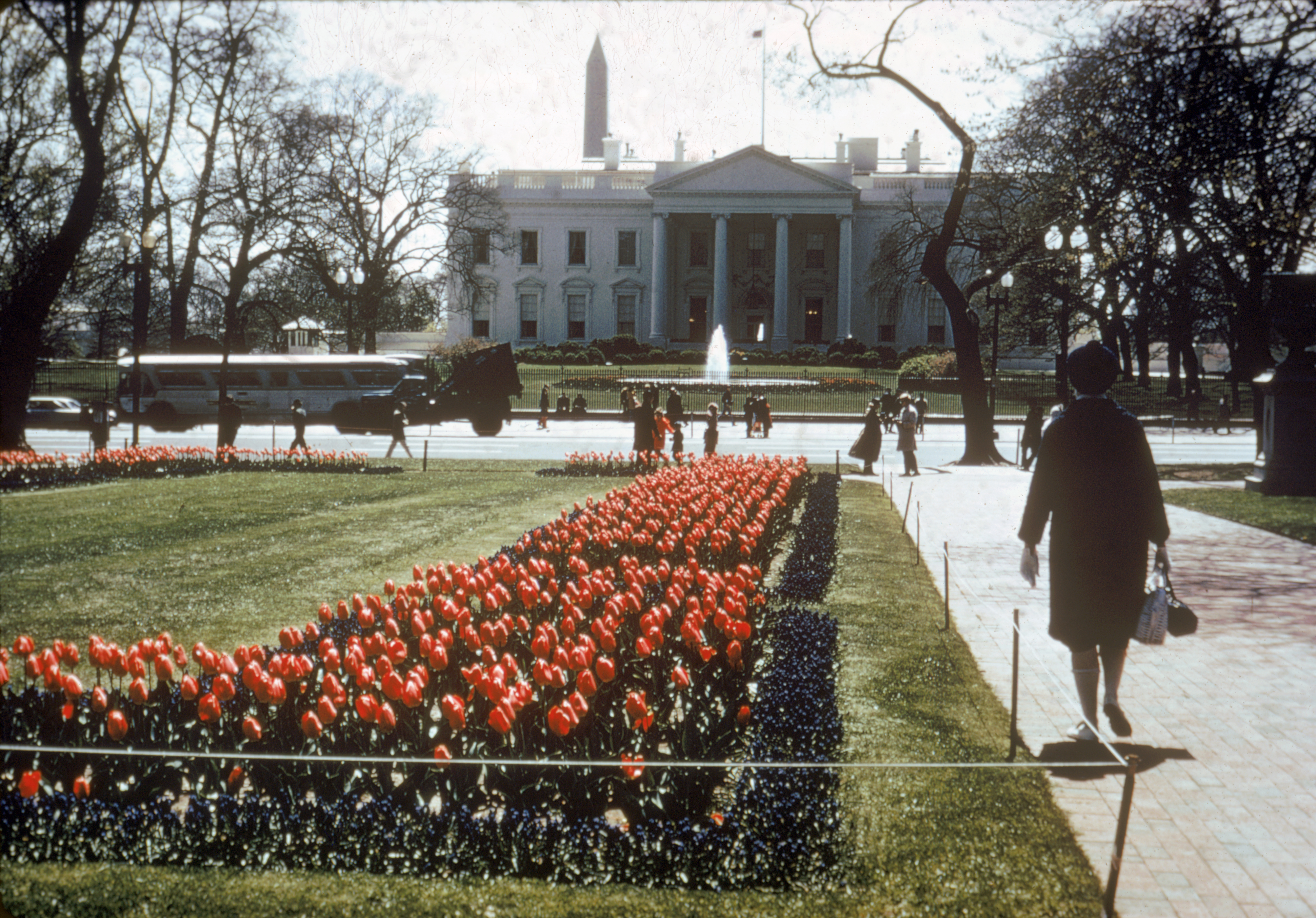 Lafayette Park DC